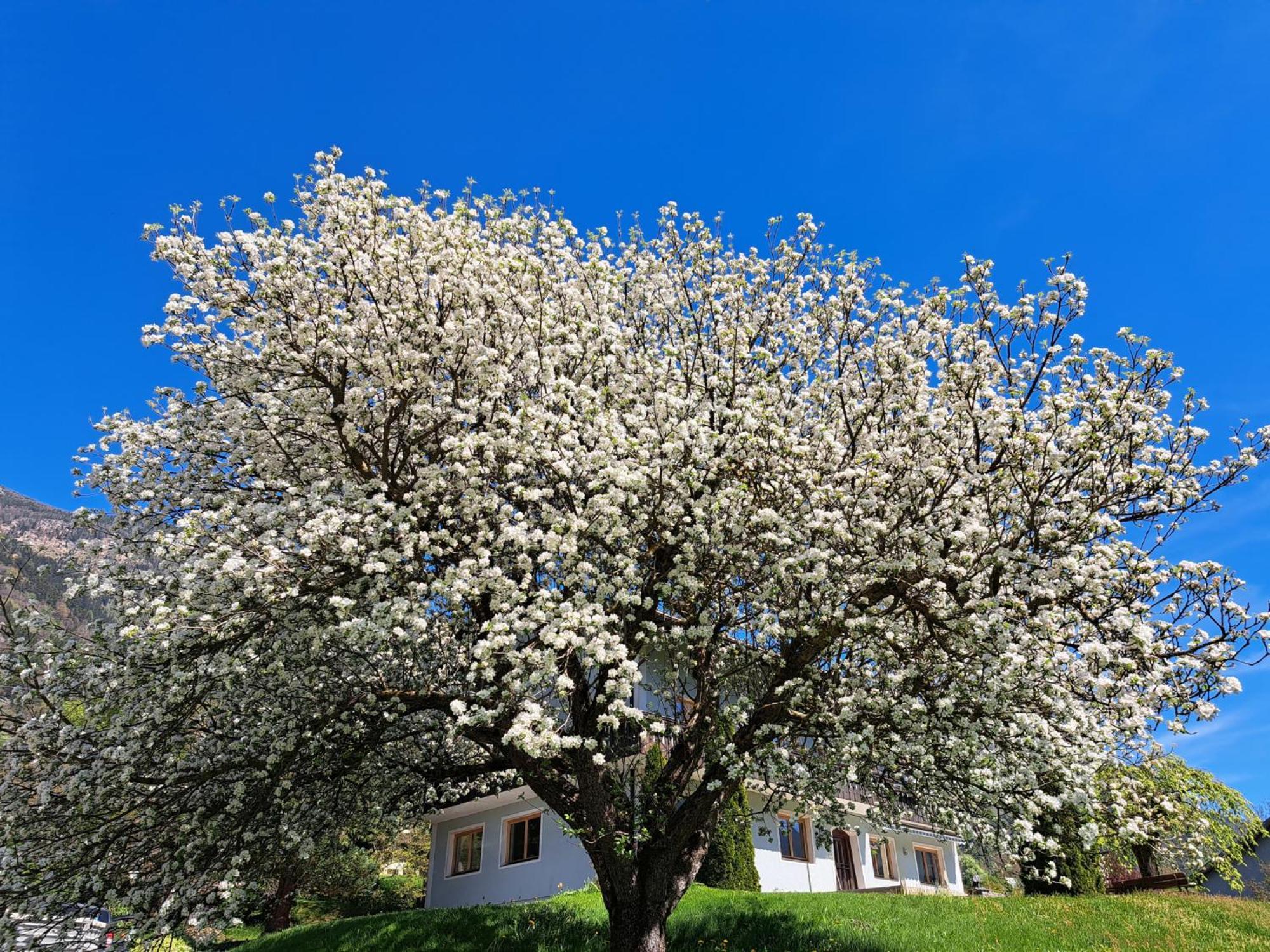 Landhaus Koenigsreiner Unterkolbnitz ภายนอก รูปภาพ