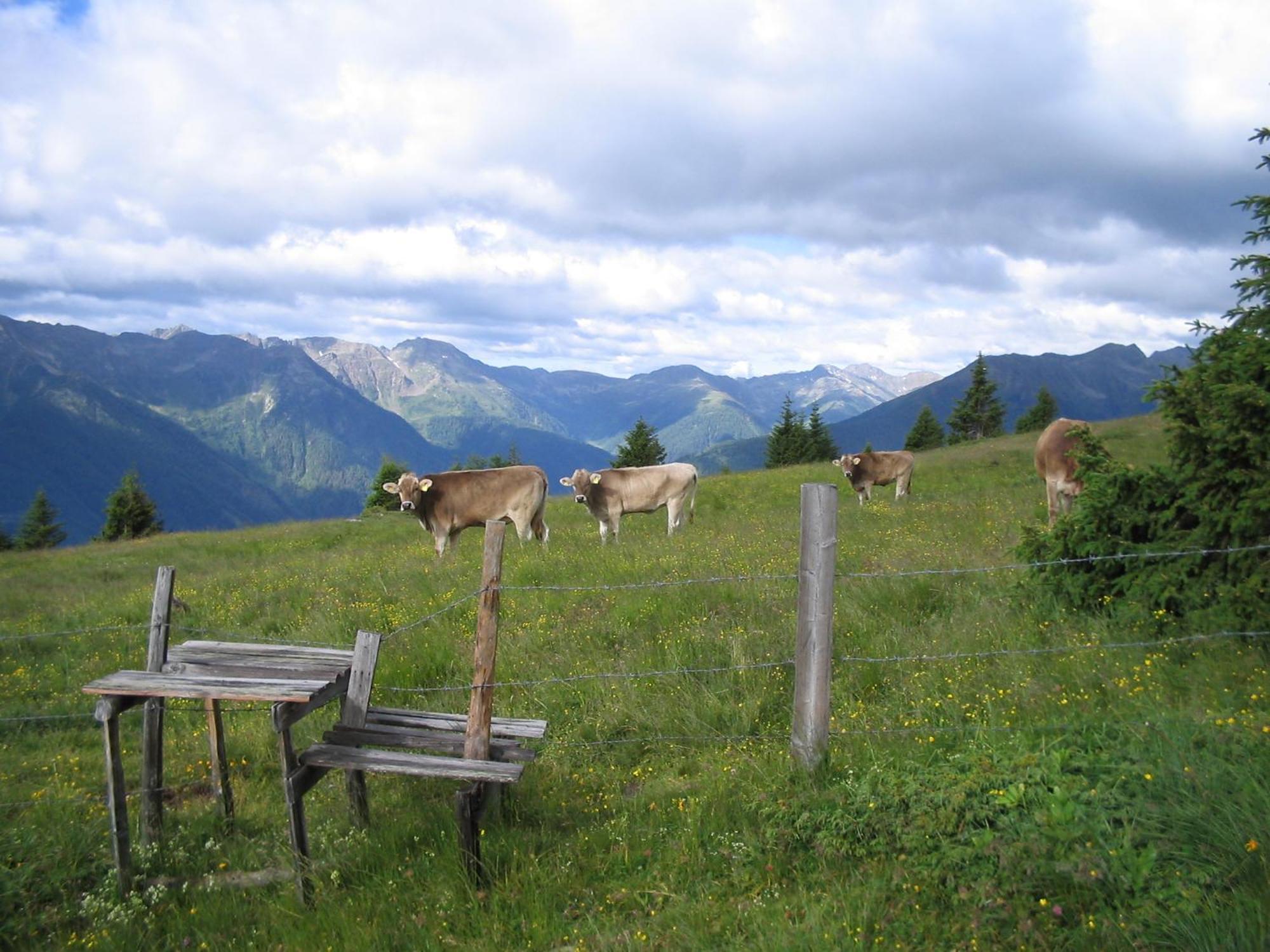 Landhaus Koenigsreiner Unterkolbnitz ภายนอก รูปภาพ
